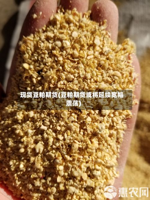 现货豆粕期货(豆粕期货或将延续宽幅震荡)-第3张图片