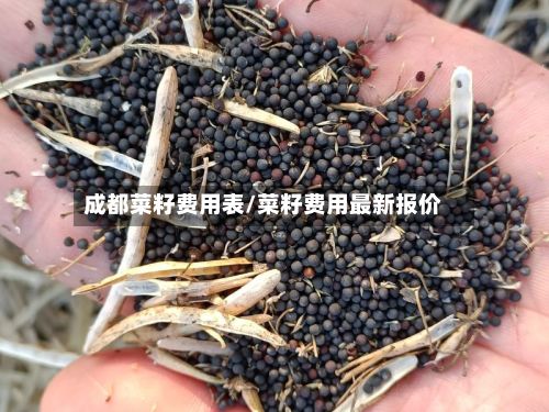 成都菜籽费用表/菜籽费用最新报价