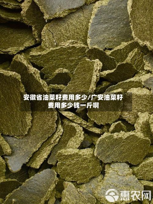 安徽省油菜籽费用多少/广安油菜籽费用多少钱一斤啊-第2张图片