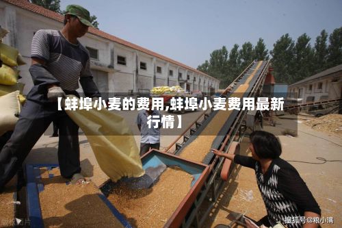 【蚌埠小麦的费用,蚌埠小麦费用最新行情】