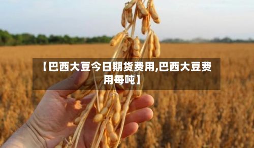 【巴西大豆今日期货费用,巴西大豆费用每吨】-第3张图片