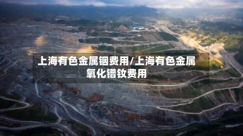 上海有色金属铟费用/上海有色金属氧化镨钕费用
