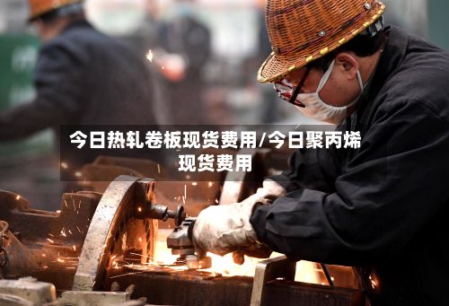 今日热轧卷板现货费用/今日聚丙烯现货费用-第2张图片