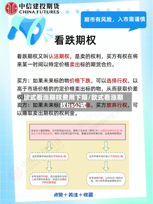欧式看涨期权费用下限/欧式看涨期权bs公式-第3张图片