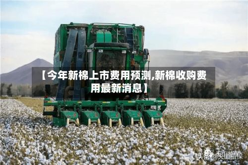 【今年新棉上市费用预测,新棉收购费用最新消息】-第2张图片