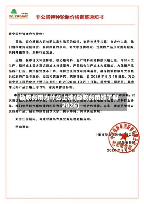 橡胶费用为什么上涨(橡胶费用涨了吗2026)