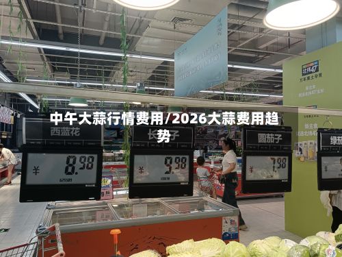 中午大蒜行情费用/2026大蒜费用趋势