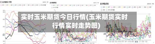 实时玉米期货今日行情(玉米期货实时行情实时走势图)
