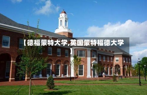 【德福蒙特大学,英国蒙特福德大学】-第2张图片