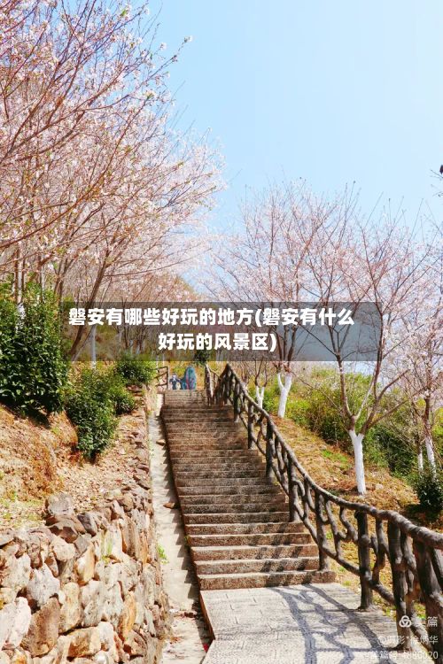 磐安有哪些好玩的地方(磐安有什么好玩的风景区)-第3张图片