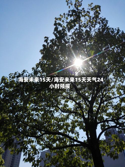 海安未来15天/海安未来15天天气24小时预报-第3张图片