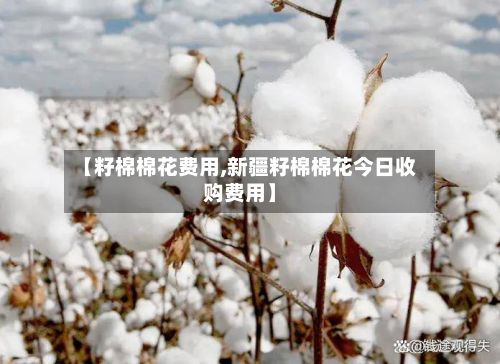 【籽棉棉花费用,新疆籽棉棉花今日收购费用】-第2张图片