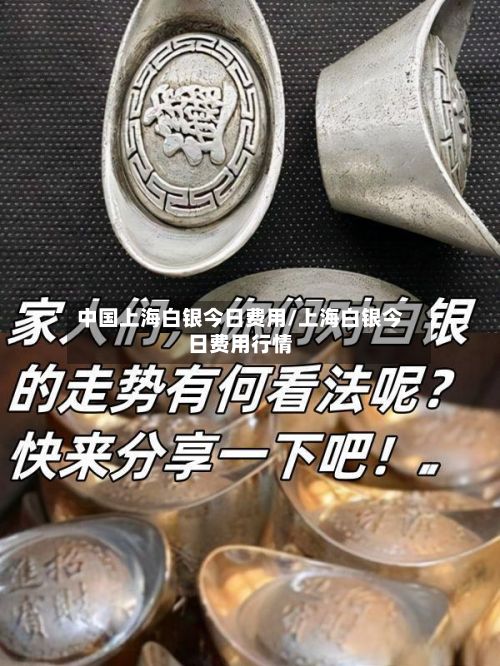 中国上海白银今日费用/上海白银今日费用行情