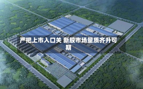 严把上市入口关 新股市场量质齐升可期