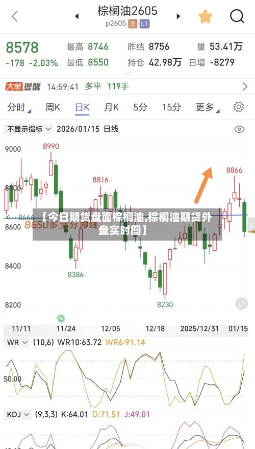 【今日期货盘面棕榈油,棕榈油期货外盘实时图】