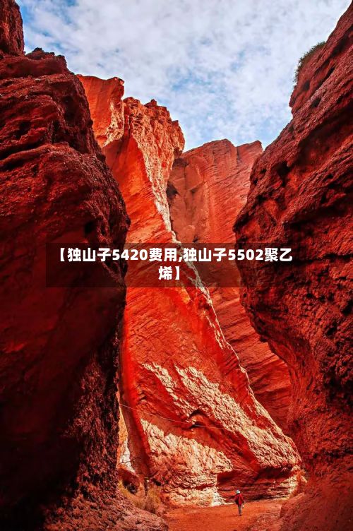 【独山子5420费用,独山子5502聚乙烯】