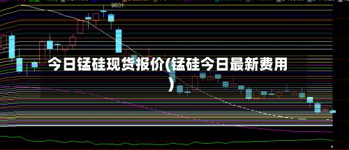 今日锰硅现货报价(锰硅今日最新费用)-第3张图片