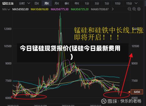 今日锰硅现货报价(锰硅今日最新费用)