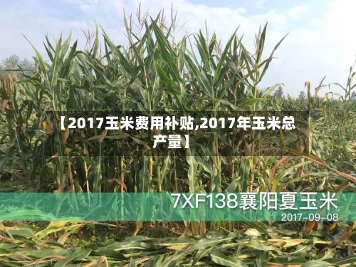 【2017玉米费用补贴,2017年玉米总产量】-第2张图片