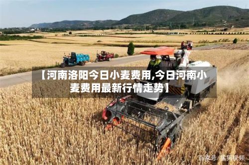 【河南洛阳今日小麦费用,今日河南小麦费用最新行情走势】