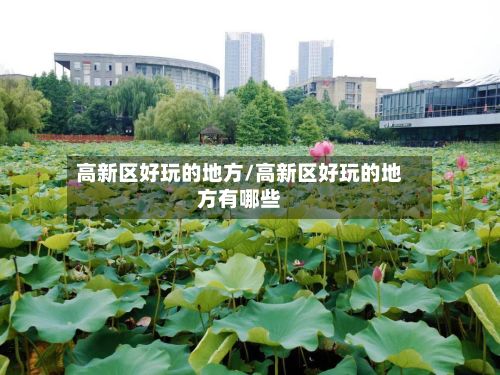 高新区好玩的地方/高新区好玩的地方有哪些