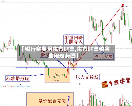 【银行金费用东方财富,东方财富铂金费用走势图】