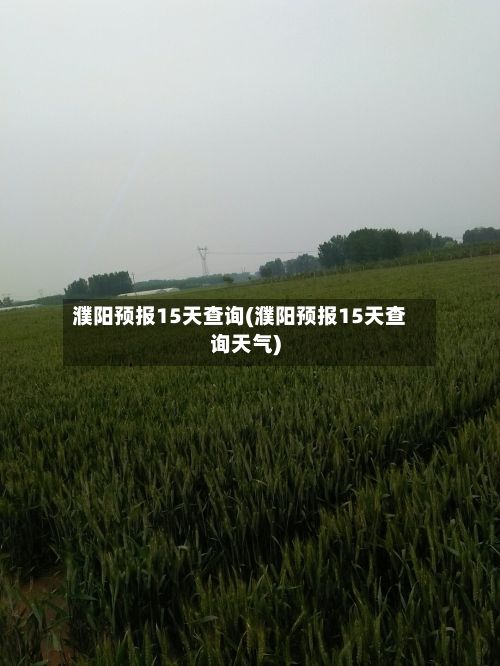 濮阳预报15天查询(濮阳预报15天查询天气)