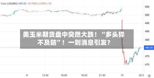 美玉米期货盘中突然大跌！“多头猝不及防”！一则消息引发？