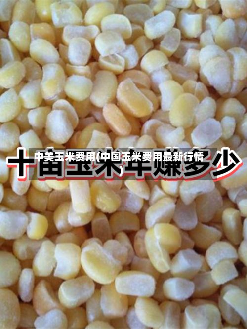 中美玉米费用(中国玉米费用最新行情)