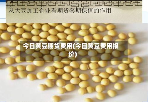 今日黄豆期货费用(今日黄豆费用报价)-第3张图片