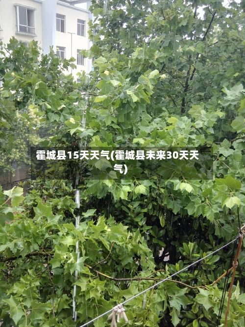 霍城县15天天气(霍城县未来30天天气)
