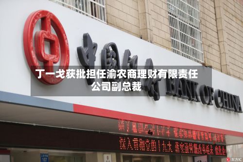 丁一戈获批担任渝农商理财有限责任公司副总裁