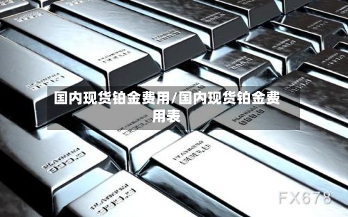 国内现货铂金费用/国内现货铂金费用表
