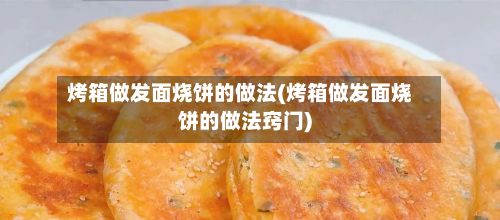 烤箱做发面烧饼的做法(烤箱做发面烧饼的做法窍门)-第2张图片