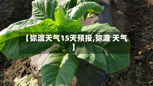 【弥渡天气15天预报,弥渡 天气】-第3张图片