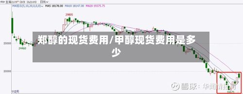 郑醇的现货费用/甲醇现货费用是多少