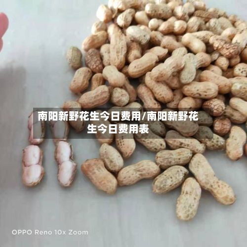 南阳新野花生今日费用/南阳新野花生今日费用表-第2张图片