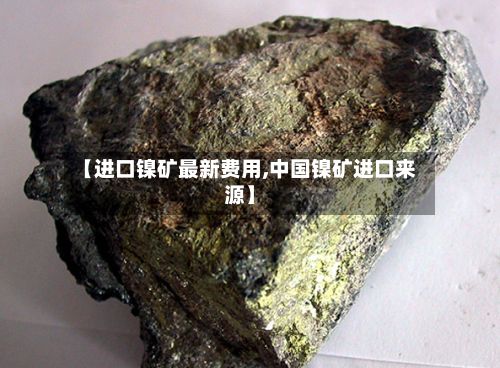 【进口镍矿最新费用,中国镍矿进口来源】-第3张图片
