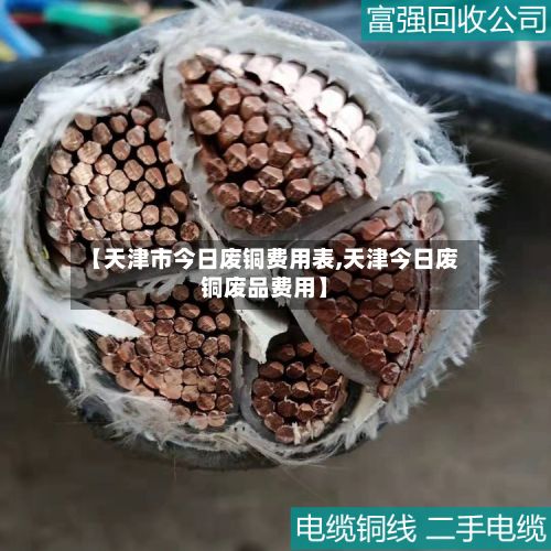 【天津市今日废铜费用表,天津今日废铜废品费用】