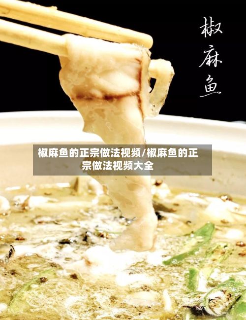 椒麻鱼的正宗做法视频/椒麻鱼的正宗做法视频大全