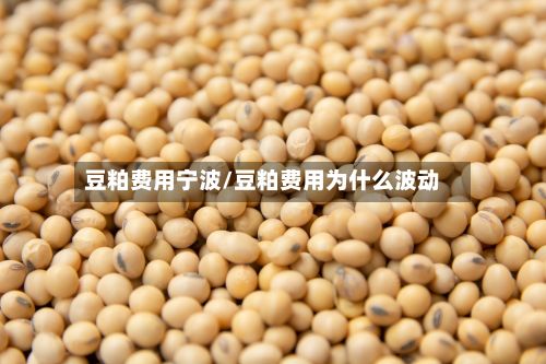 豆粕费用宁波/豆粕费用为什么波动