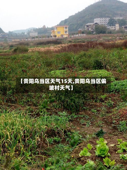 【贵阳乌当区天气15天,贵阳乌当区偏坡村天气】