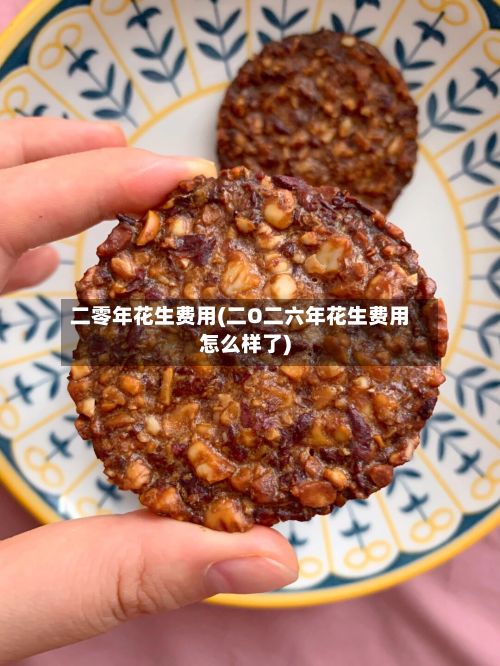 二零年花生费用(二O二六年花生费用怎么样了)