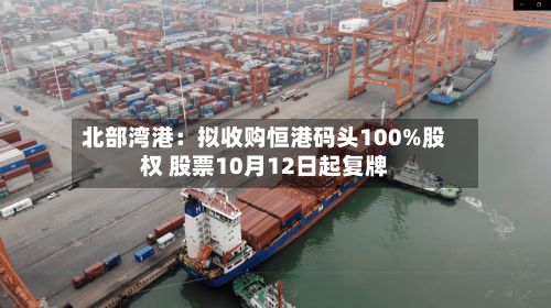 北部湾港:拟收购恒港码头100%股权 股票10月12日起复牌-第3张图片