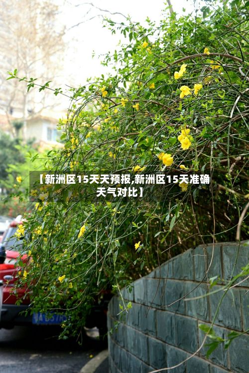【新洲区15天天预报,新洲区15天准确天气对比】-第3张图片
