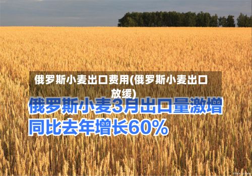 俄罗斯小麦出口费用(俄罗斯小麦出口放缓)