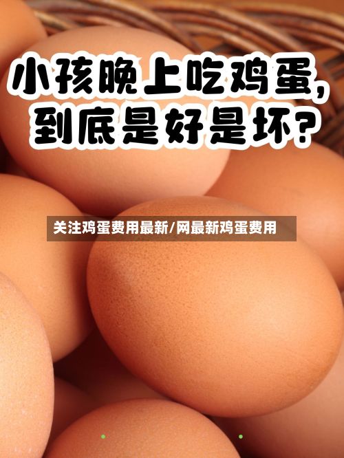 关注鸡蛋费用最新/网最新鸡蛋费用