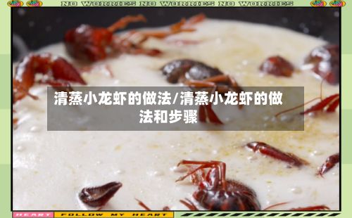 清蒸小龙虾的做法/清蒸小龙虾的做法和步骤