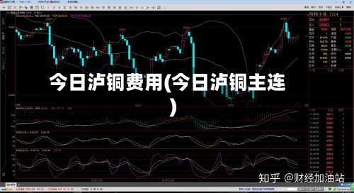 今日泸铜费用(今日泸铜主连)