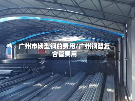 广州市场型钢的费用/广州钢塑复合管费用-第2张图片